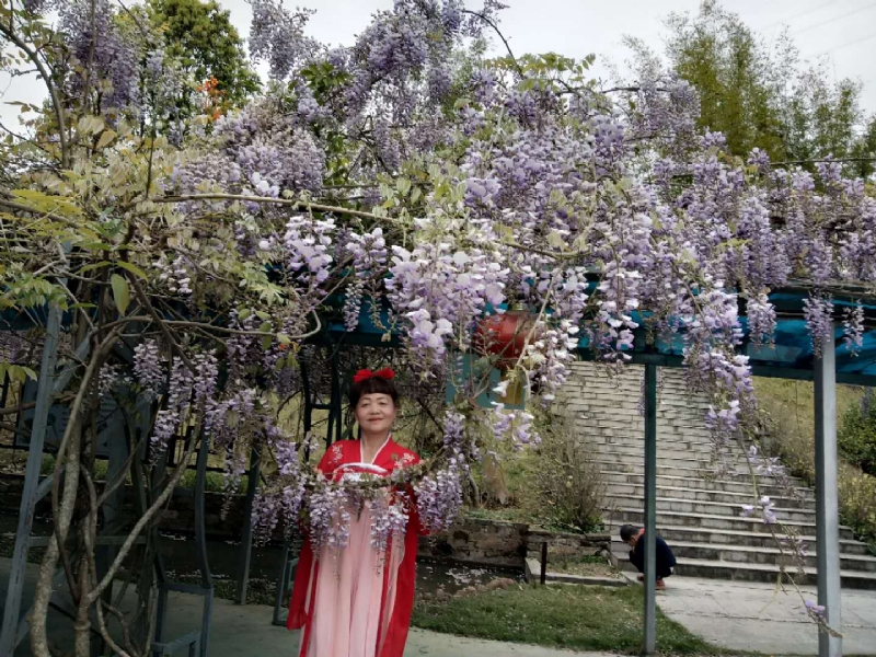 莉莉的第一张照片--东山征婚网
