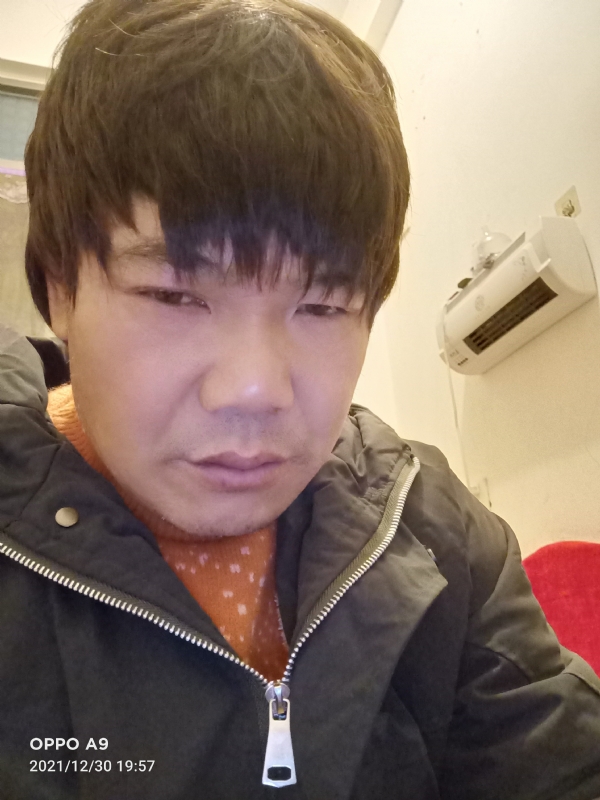 小鸟找窝的第二张照片--东山征婚网