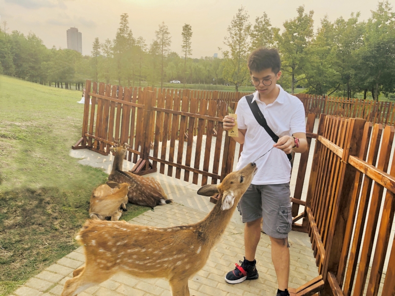 米兰的小铁匠的第一张照片--东山征婚网