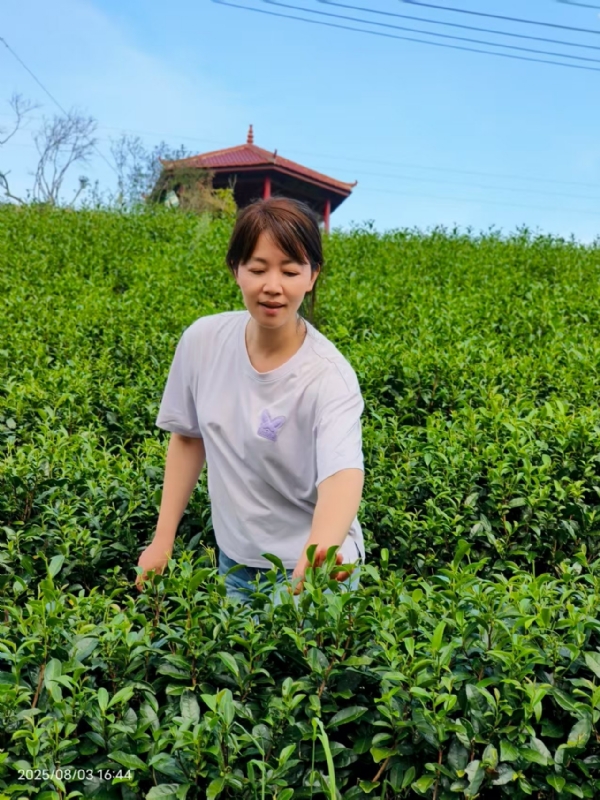 Q绮芳的第一张照片--东山征婚网